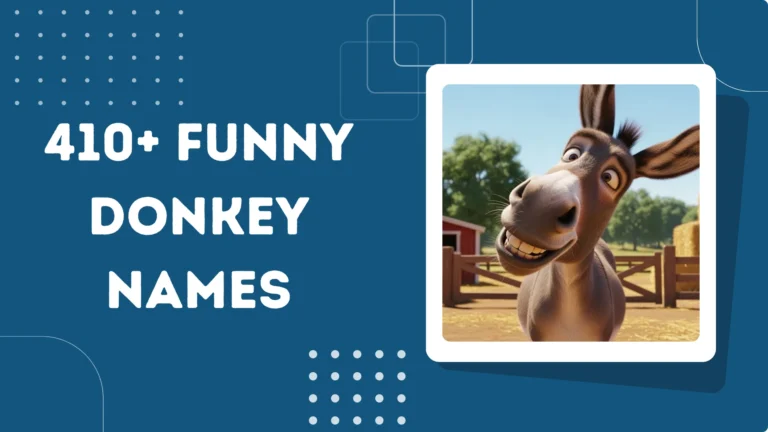 Funny Donkey Names