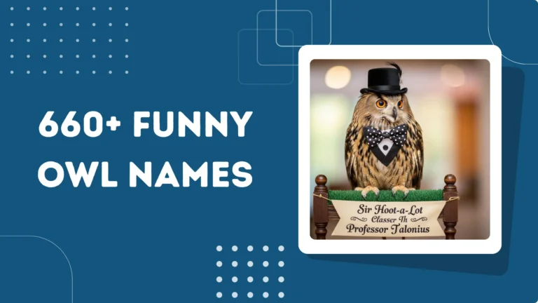 Funny Owl Names