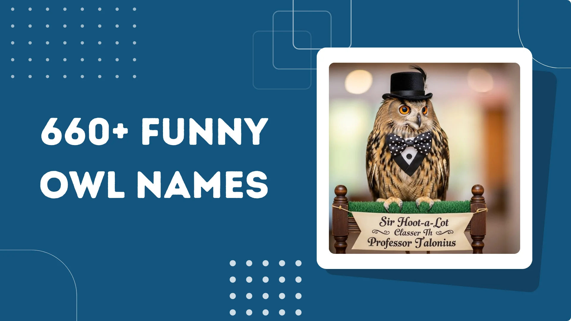 Funny Owl Names