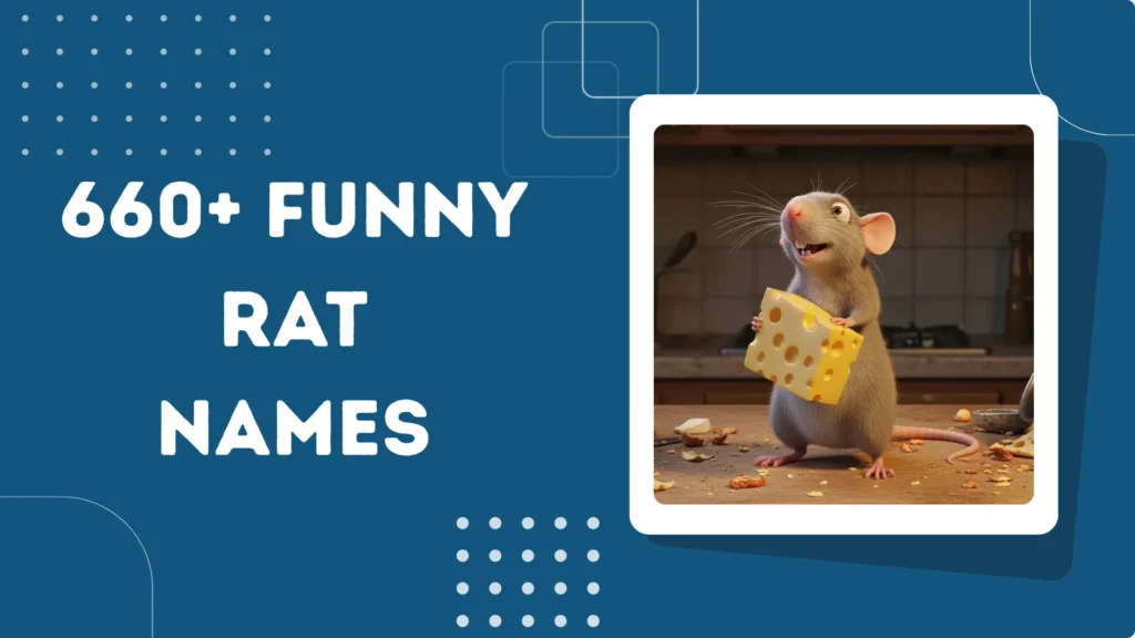 Funny Rat Names