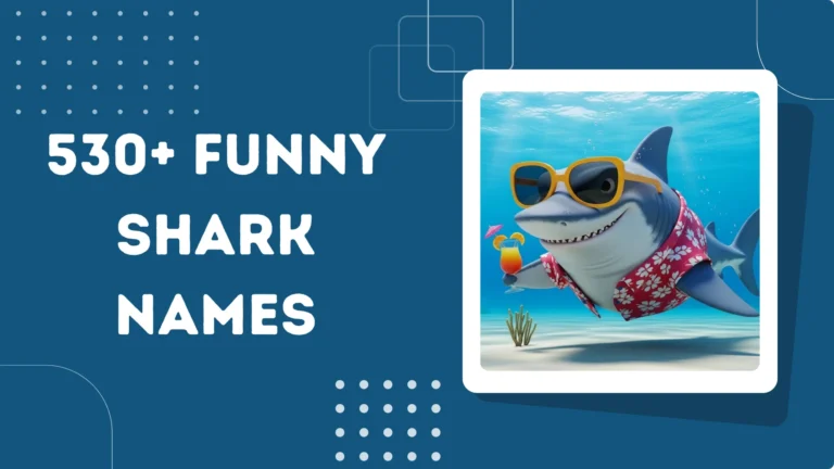 Funny Shark Names