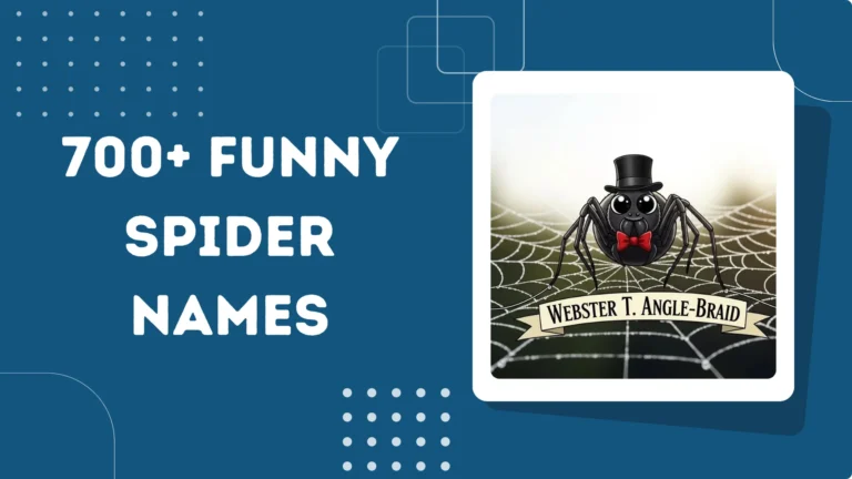 Funny Spider Names