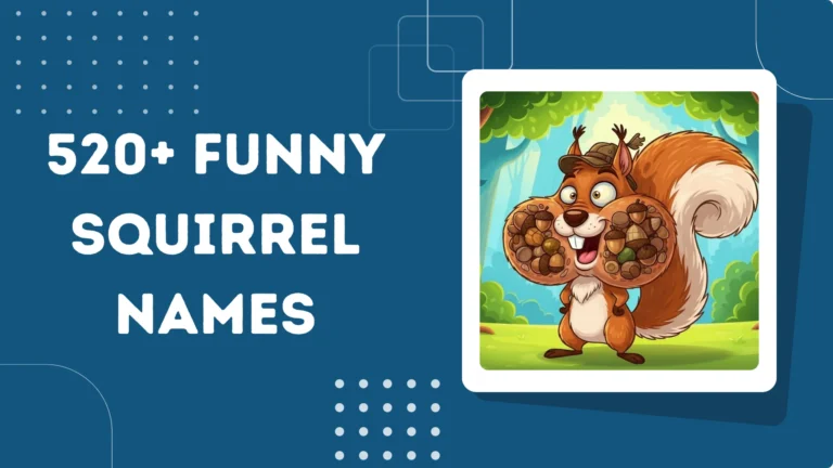 Funny Squirrel Names