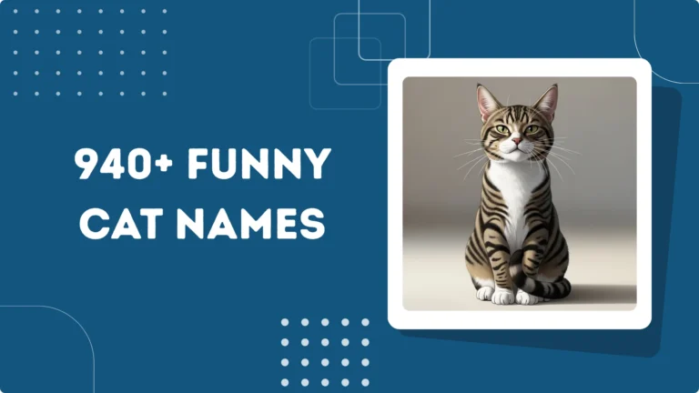 Funny Cat Names