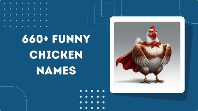 Funny Chicken Names