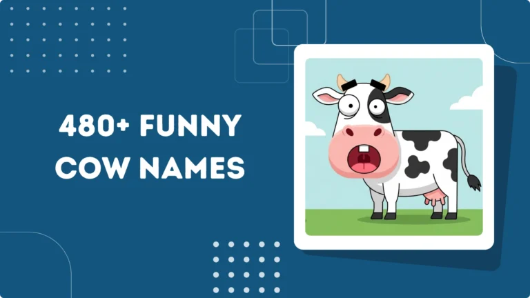 Funny Cow Names