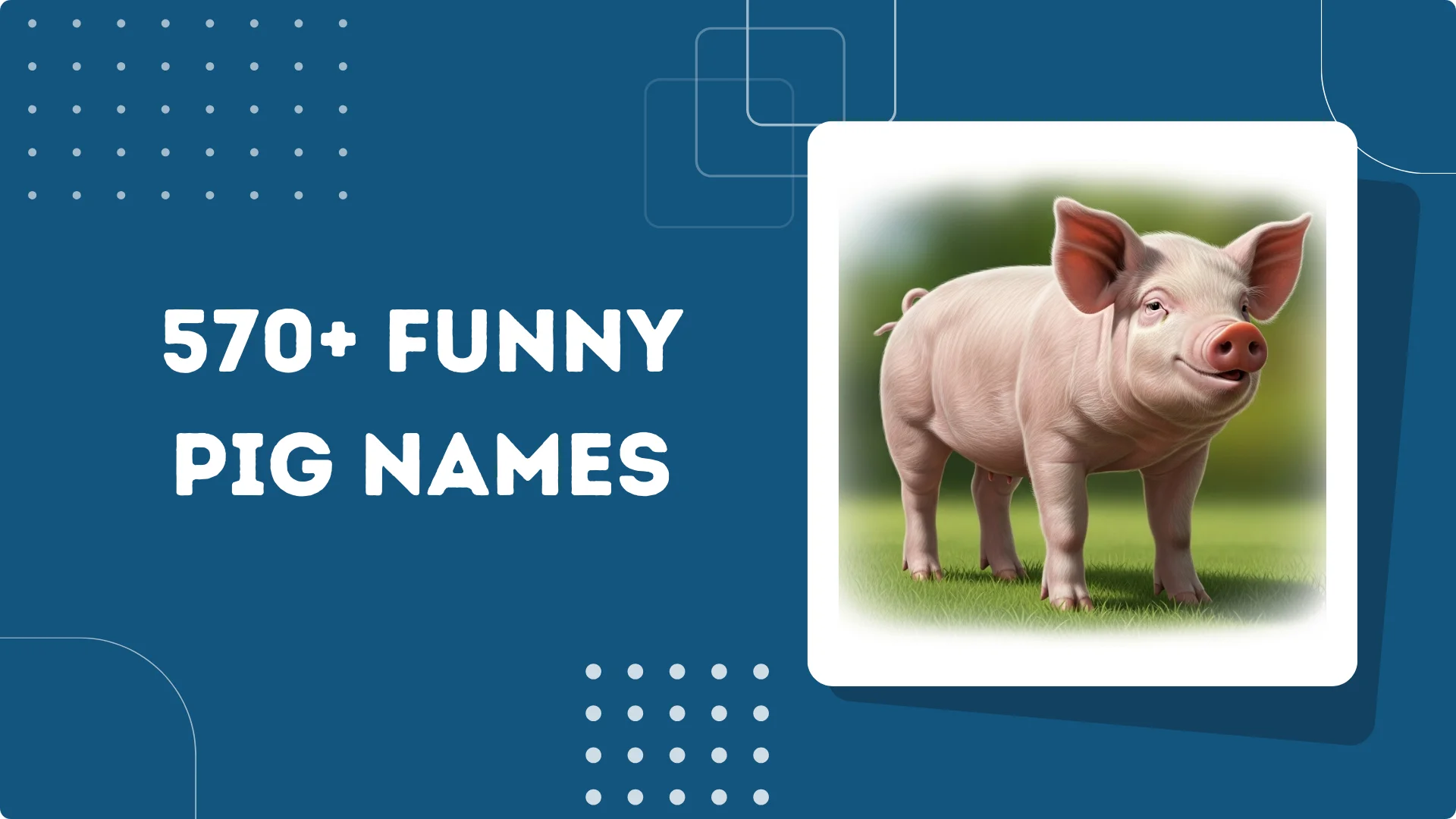 Funny Pig Names