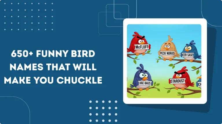 Funny Bird Names