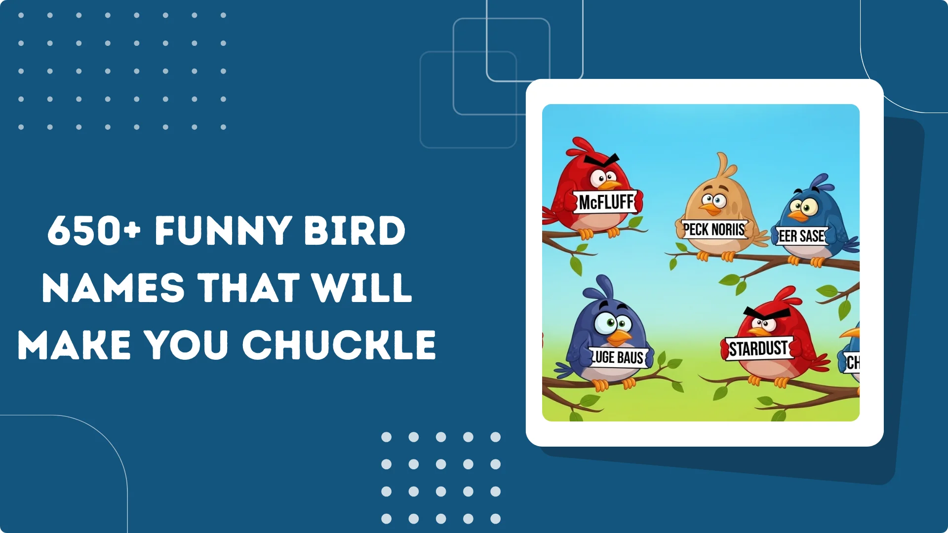 Funny Bird Names