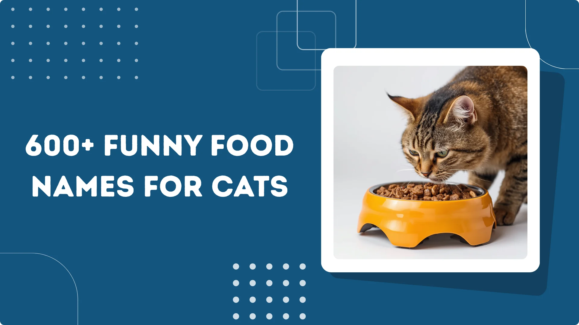 Funny Food Names for Cats