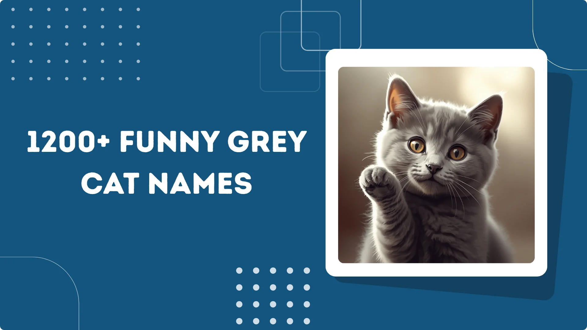 Funny Grey Cat Names