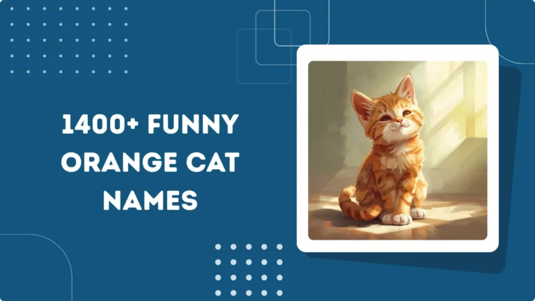 Funny Orange Cat Names