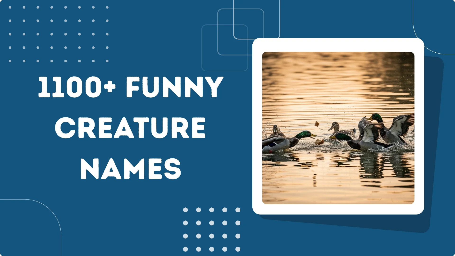 Funny Creature Names