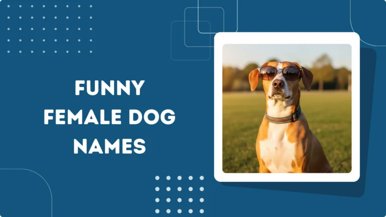 Funny Female Dog Names