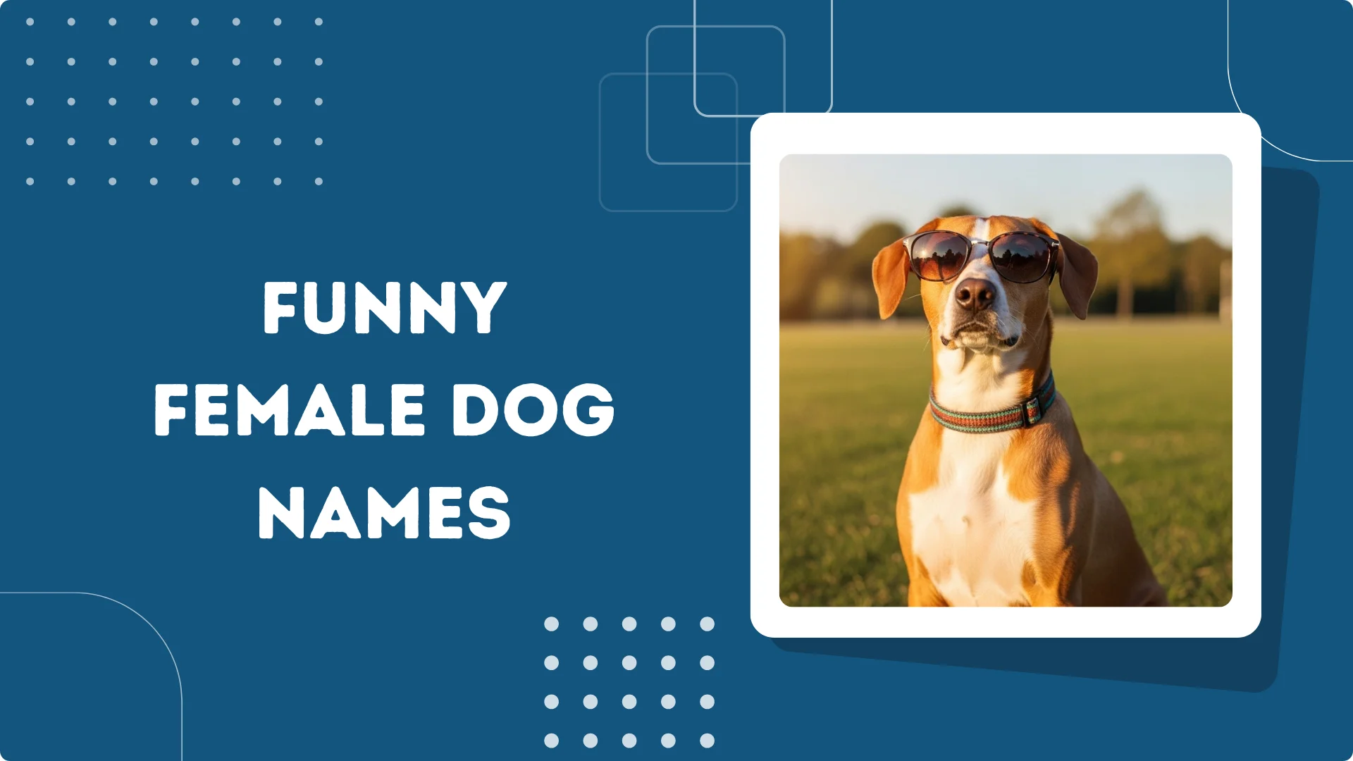 Funny Female Dog Names