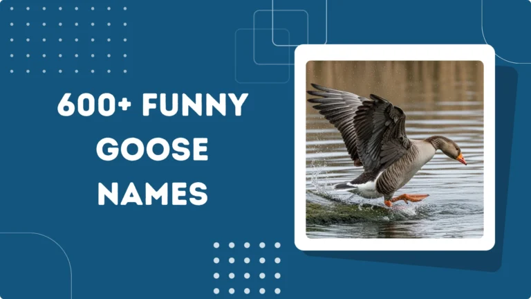 Funny Goose Names
