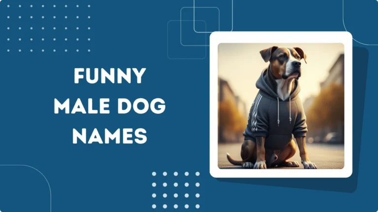 Funny Male Dog Names