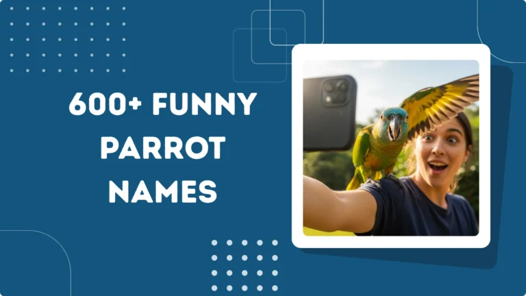 Funny Parrot Names
